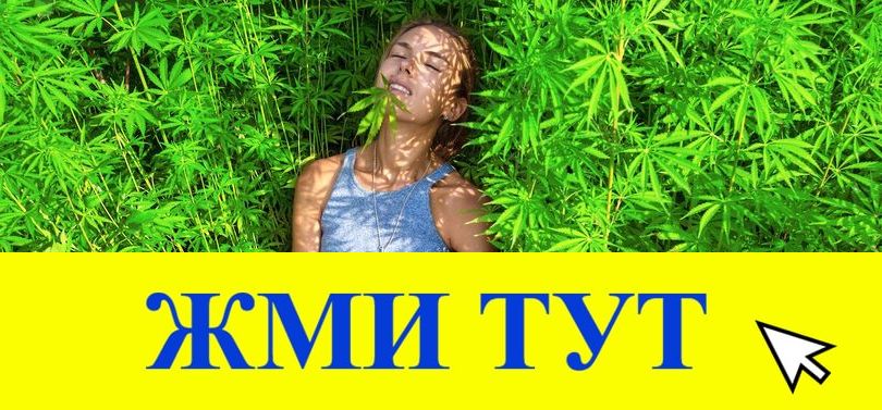 Купить наркотики в Петропавловске-Камчатском